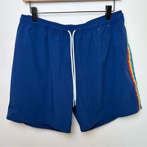 Chubbies Swim Trunks Mens Navy Rainbow Striped 5.5" Lined